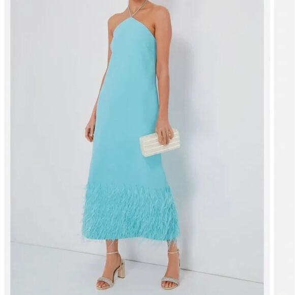 Alexis Dresses & Skirts - Alexis Dress XS Izzie Lagoon Feathered Blue Trim Halter Maxi Gown Evening Luxury